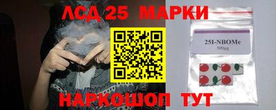 МДПВ Рыбинск