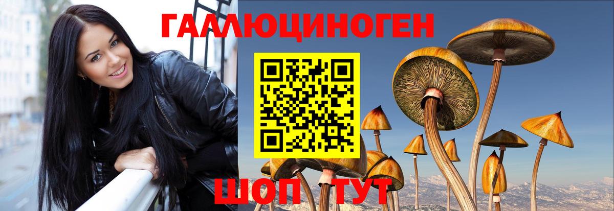 Нальчик  Псилоцибиновые грибы мухоморы  Галлюциногенные грибы MAGIC MUSHROOMS  Вход с VPN 